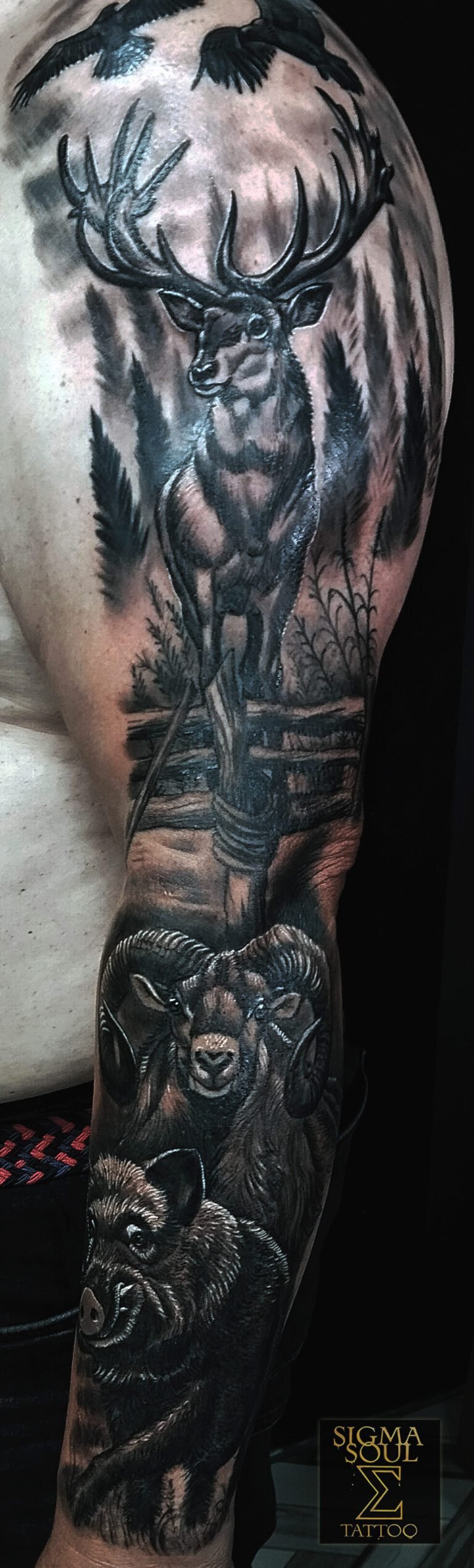 El pulso de la naturaleza. Este trabajo narra una historia de caza, pero sobre todo de respeto. El ciervo, el jabalí y el carnero simbolizan tres virtudes del espíritu salvaje: dignidad, coraje y resistencia. La escena está construida como un paisaje narrativo: desde los cuervos que sobrevuelan el bosque hasta la mirada frontal de las bestias que parecen mirarte de vuelta. El realismo negro y gris aporta una textura casi fotográfica. La luz se concentra en los animales, mientras el entorno se disuelve en niebla y profundidad. Todo está calculado para transmitir fuerza, sin perder elegancia. Es una pieza que conecta con los orígenes: el instinto, la tierra, el pulso del bosque. En Sigma Soul Tattoo, cada composición busca eso —armonía entre lo que se ve y lo que se siente—. Descubre más obras en sigmasoultattoo.com o contáctanos por WhatsApp al 640 119 066 para crear la tuya.